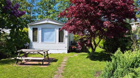 Property building, Garden, Garden view