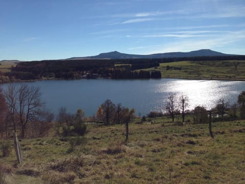 Natural landscape