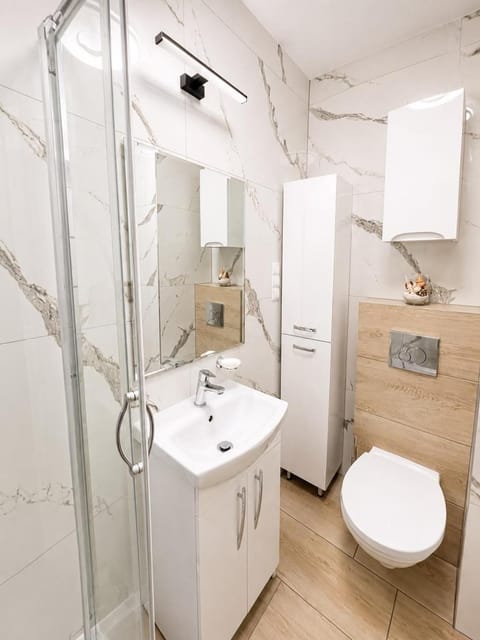 Shower, Toilet, Bathroom, hair dryier, dryer