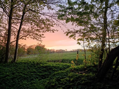 Natural landscape