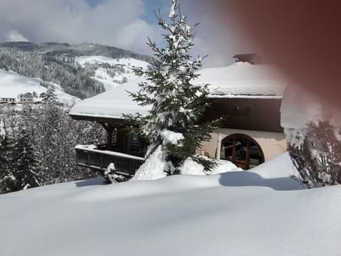 Property building, Winter, Mountain view