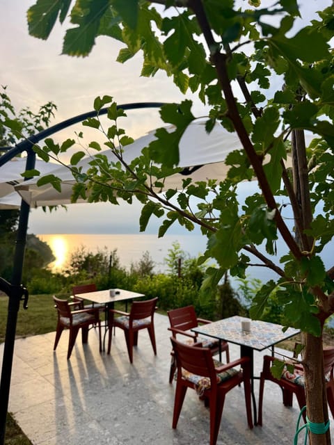 Patio, Natural landscape, Sea view