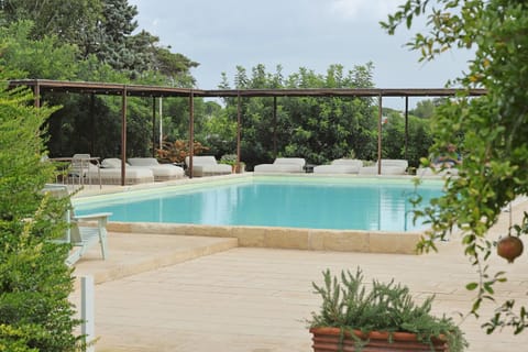 Day, Garden, Garden view, Pool view, Swimming pool, Swimming pool, sunbed