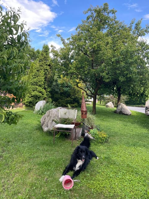 Pschoalhof Farm Stay in Trentino-South Tyrol