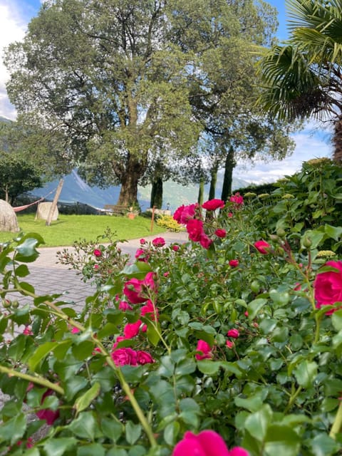 Pschoalhof Farm Stay in Trentino-South Tyrol