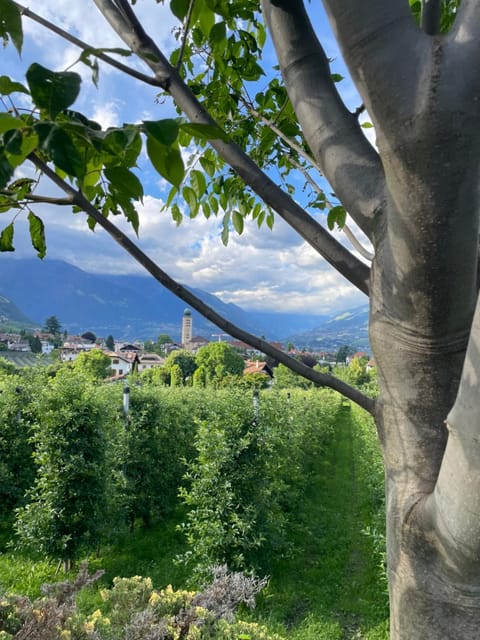Pschoalhof Farm Stay in Trentino-South Tyrol