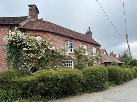 Property building, Day, Garden, Garden view