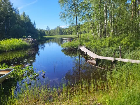 Natural landscape, River view