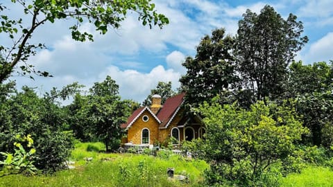 Property building, Garden