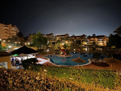Night, Garden, Swimming pool