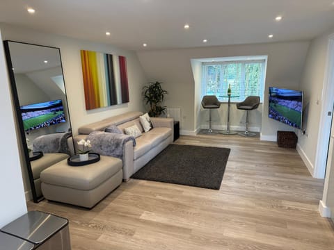 TV and multimedia, Living room, Seating area, Evening entertainment