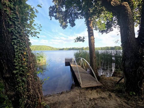Lake view