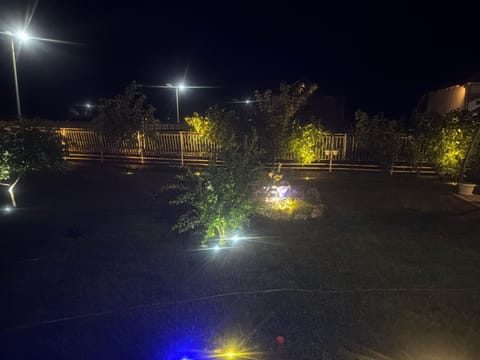 Night, Garden, Garden view