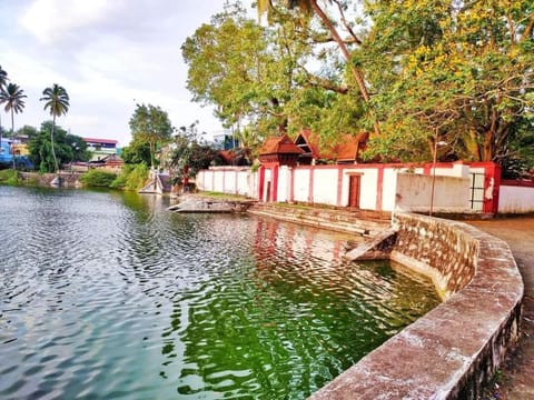 Lake view