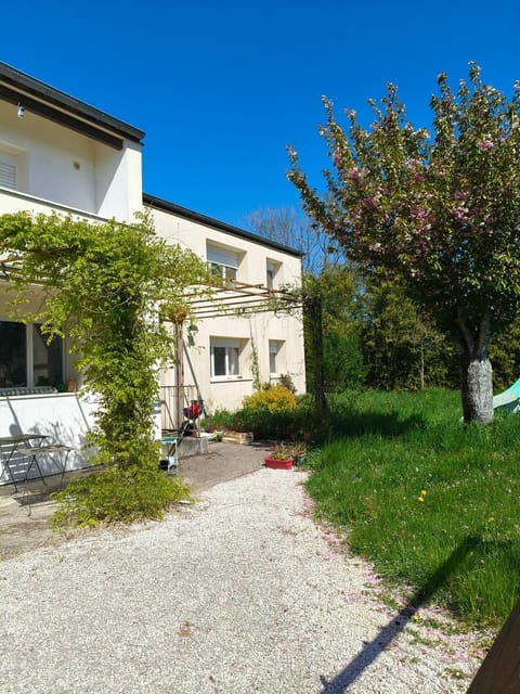 Property building, Garden, Garden view