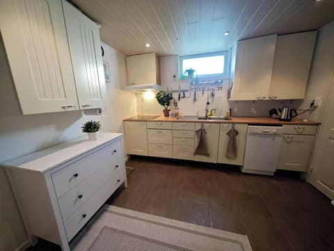 Kitchen or kitchenette, dishwasher