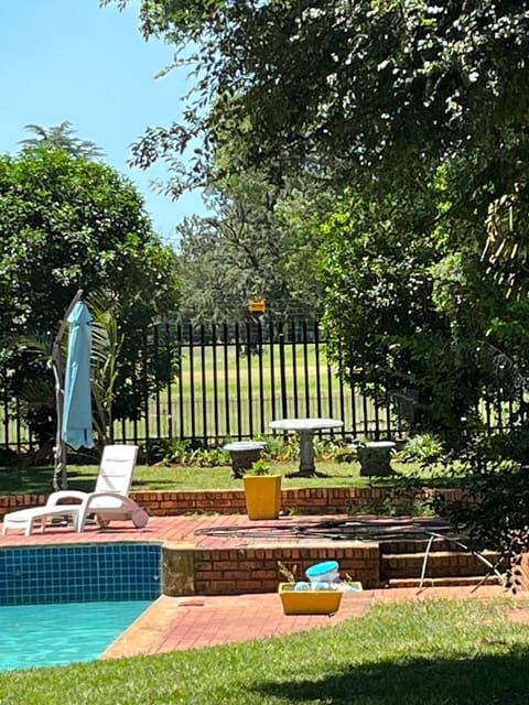 Summer, Garden, Swimming pool