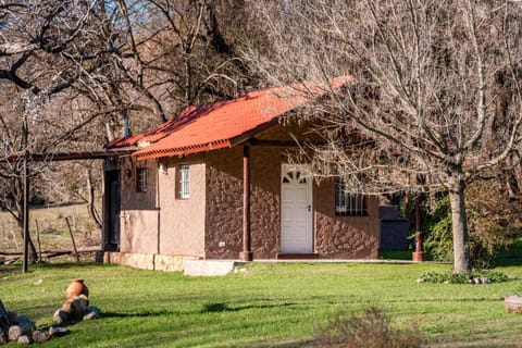 Property building, Garden, Garden view