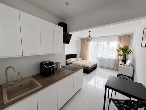 Bed, TV and multimedia, Kitchen or kitchenette, Living room, Photo of the whole room, Seating area, Dining area, Bedroom, stove