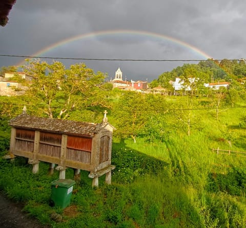 Natural landscape, Garden view