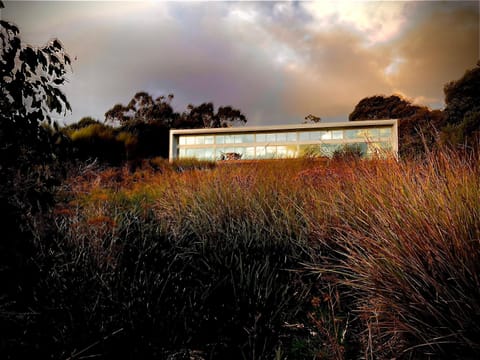 Property building, Day, Natural landscape, Garden view