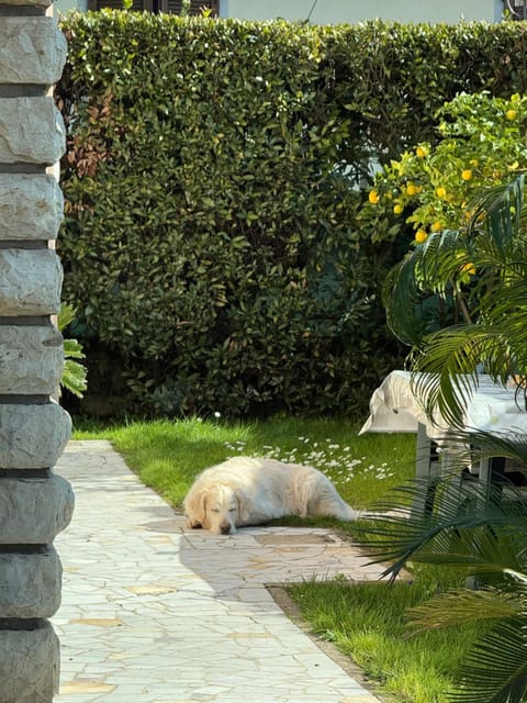 Casa Mary House in Capannori