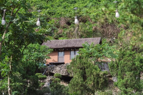 Property building, Natural landscape