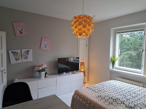 Bed, TV and multimedia