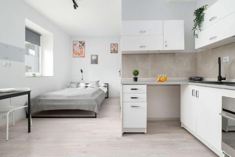 Bed, Kitchen or kitchenette, Photo of the whole room, Bedroom, stove