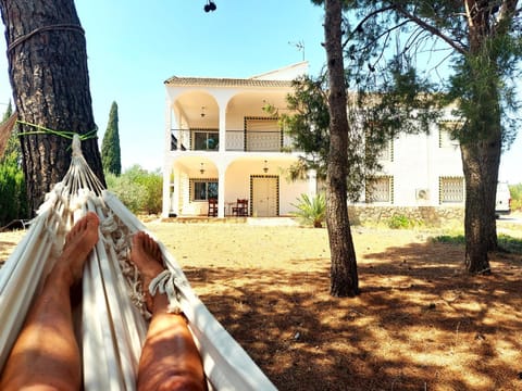 Property building, Garden, Garden view