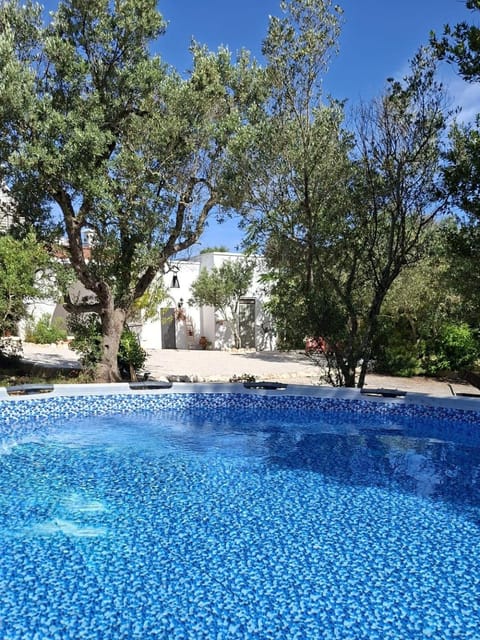 Garden, Swimming pool