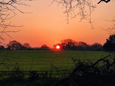 Sunrise