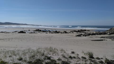 Natural landscape, Beach