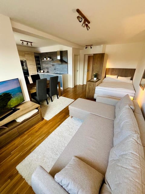 Bed, TV and multimedia, Kitchen or kitchenette, Living room, Seating area, Dining area, Bedroom