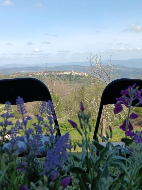 Natural landscape, City view, Mountain view
