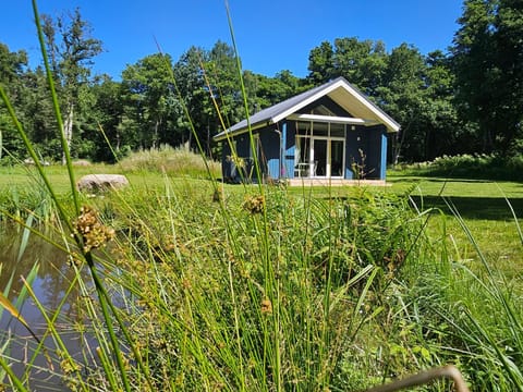 Property building, Garden view