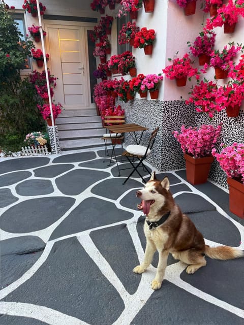 Patio, Day
