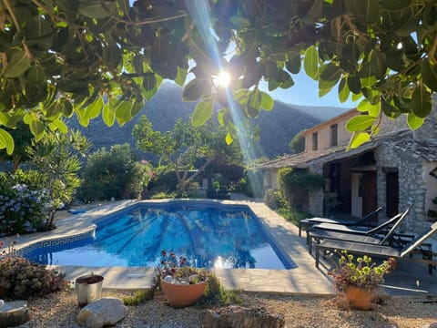 Property building, Day, Garden, Garden view, Pool view, Swimming pool