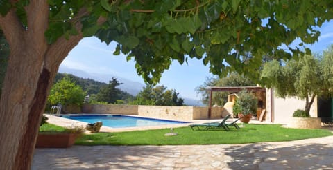 Day, Garden, Swimming pool