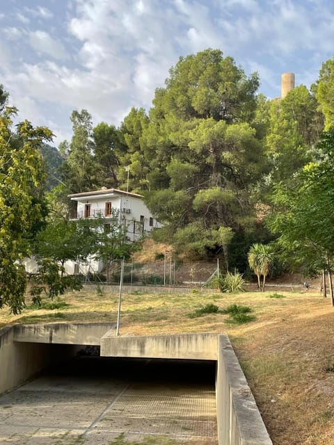 Natural landscape
