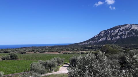 Natural landscape, Bird's eye view