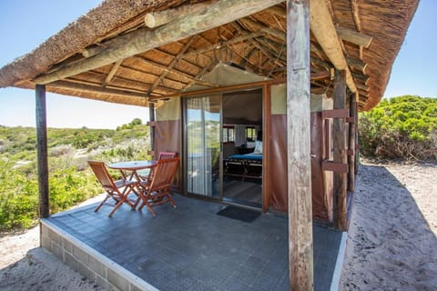 West Coast Luxury Tents Luxury tent in Western Cape