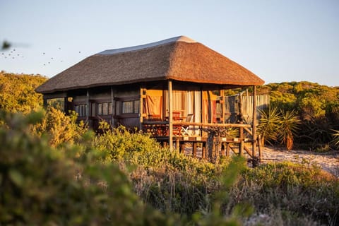 West Coast Luxury Tents Luxury tent in Western Cape