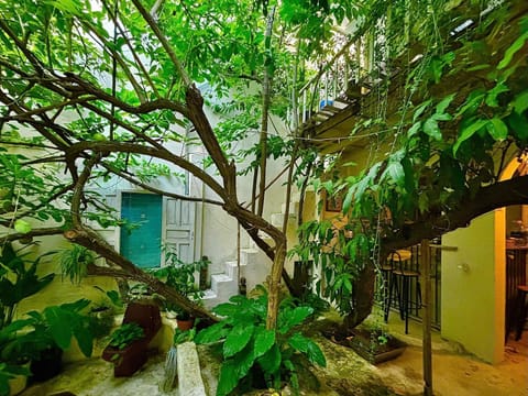Garden, Garden