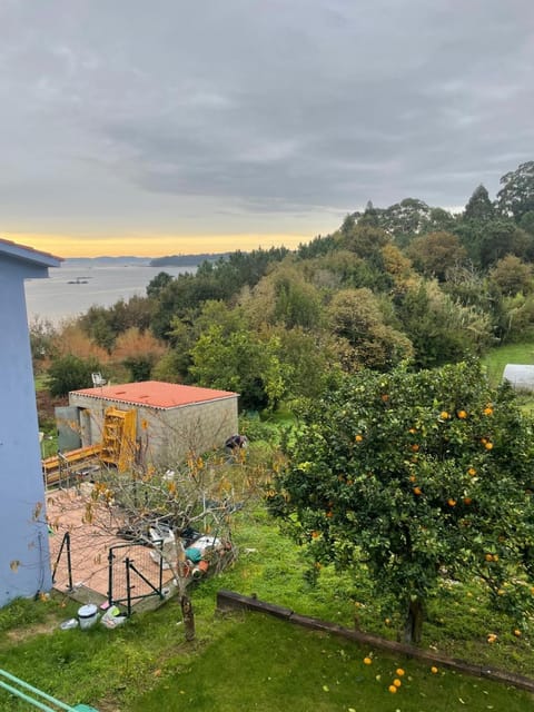 Sea view