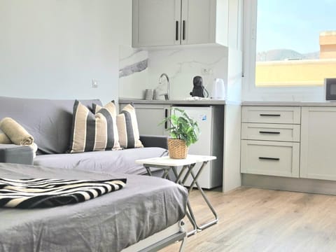 Bed, Kitchen or kitchenette, Living room, Photo of the whole room, Seating area, Dining area, stove