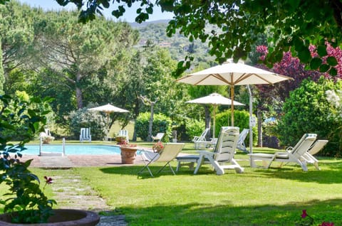 Garden, Swimming pool, sunbed