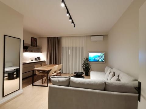 Communal lounge/ TV room, Bed, TV and multimedia, Living room, Photo of the whole room, Seating area, Dining area, Evening entertainment, Bedroom, hair dresser, air conditioner