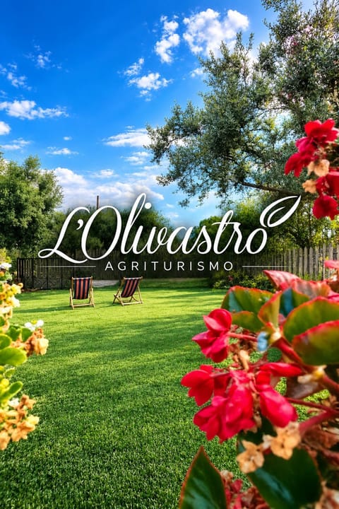Nearby landmark, Spring, Day, Natural landscape, Garden, Text overlay, Garden view