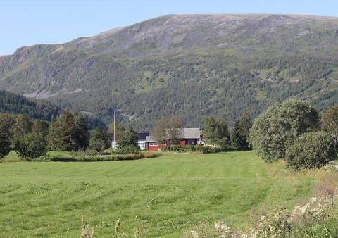 Bird's eye view, View (from property/room)